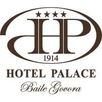 Hotel Palace - Baile Govora