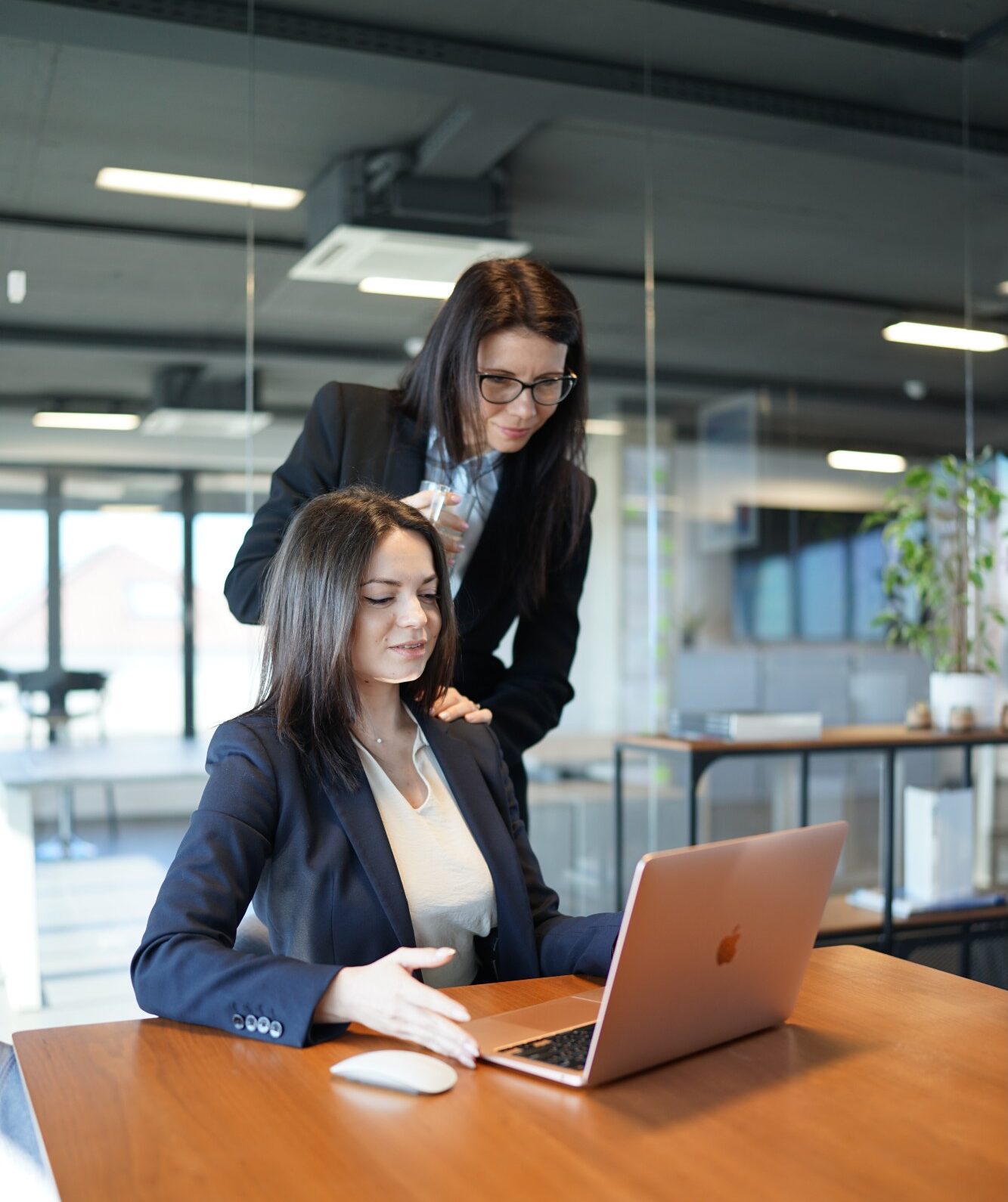 Leadership & Business Mentorship